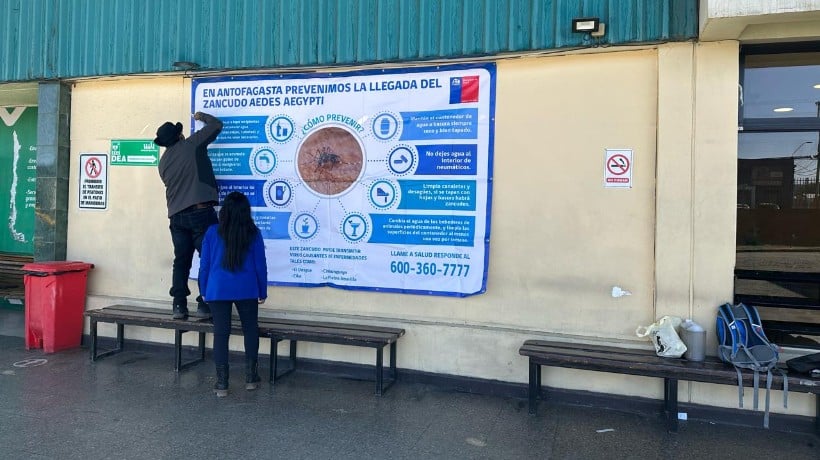  Seremi de Salud de Antofagasta instala trampas para mosquitos del Dengue en prevención de brote