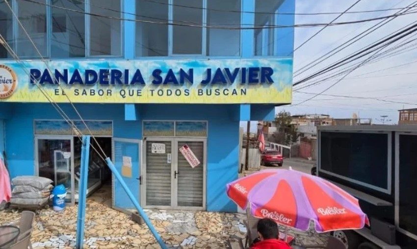  Serias irregularidades sanitarias en panadería de Antofagasta: descubren roedores y deficiencias graves