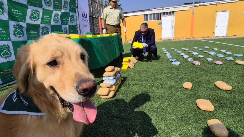  Carabineros incauta $425 millones en droga en La Negra, Antofagasta