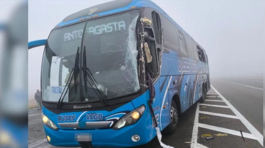  Accidente de bus en Ruta 5 Norte: Camión huye del lugar