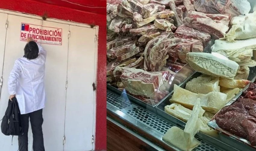  Clausuran carnicería de Feria de las Pulgas en Antofagasta por insalubridad y falta de rotulación