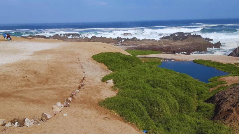  Prohíben instalación de ramadas en proximidades del Humedal La Chimba por fallo de la Corte de Apelaciones