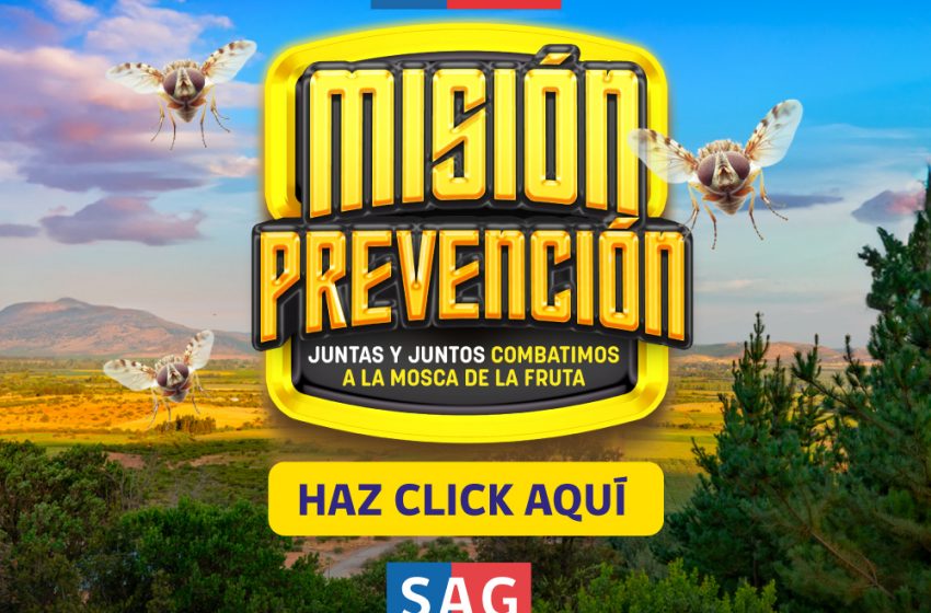  SAG lanza campaña comunicacional para evitar el ingreso a Chile de la mosca de la fruta