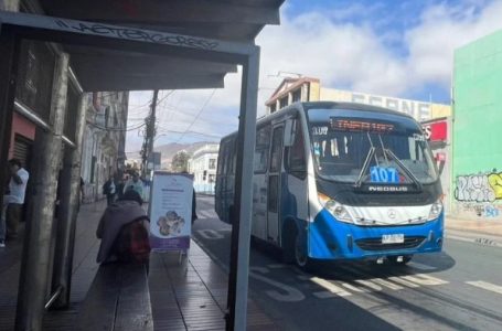 Antofagasta dispondrá de transporte gratuito y mayor frecuencia durante las elecciones