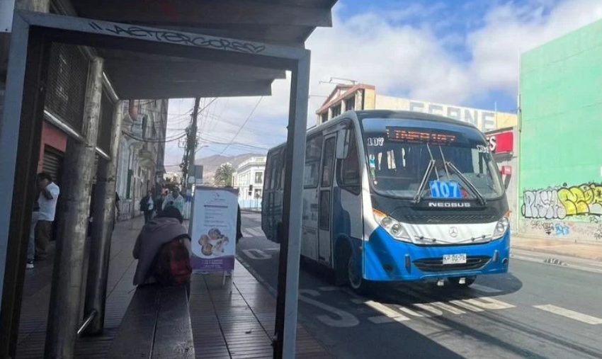  Antofagasta dispondrá de transporte gratuito y mayor frecuencia durante las elecciones