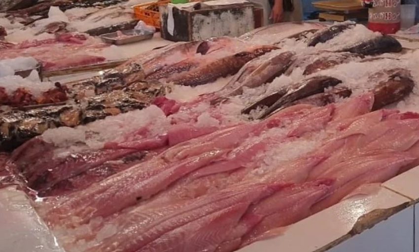  Brotes de enfermedades transmitidas por alimentos: 105 afectados en Antofagasta por consumo de pescados y mariscos en 2024