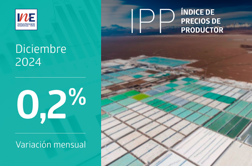  Índice de Precios de Productor (IPP) Industrias registró un aumento de 0,2% en diciembre de 2024