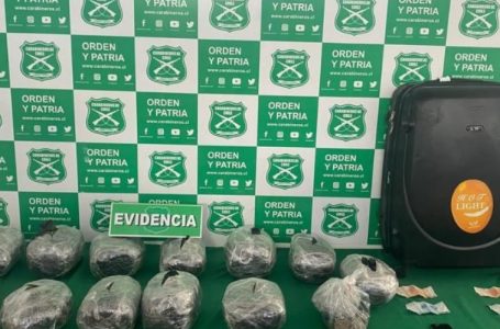 Desarticulan banda de narcotráfico en Antofagasta y Alto Hospicio: Droga incautada supera los $77 millones