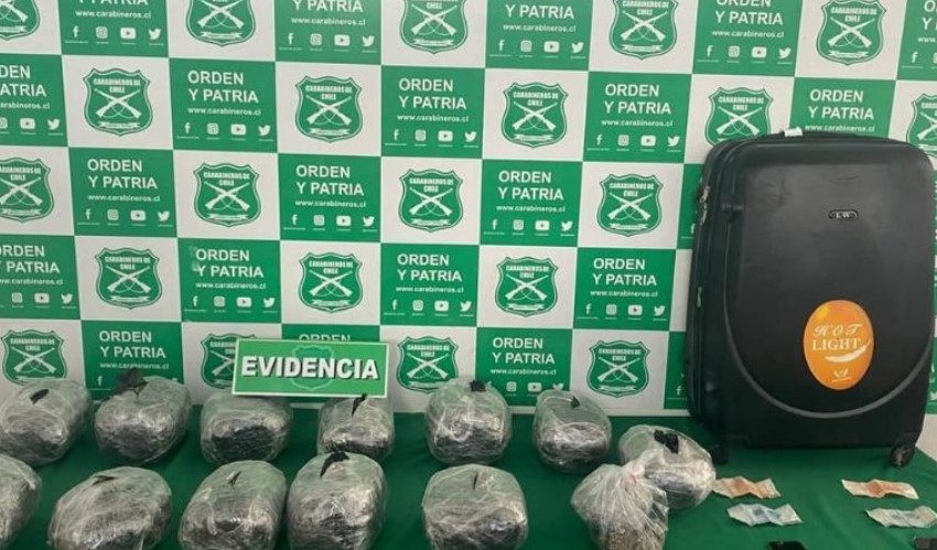  Desarticulan banda de narcotráfico en Antofagasta y Alto Hospicio: Droga incautada supera los $77 millones